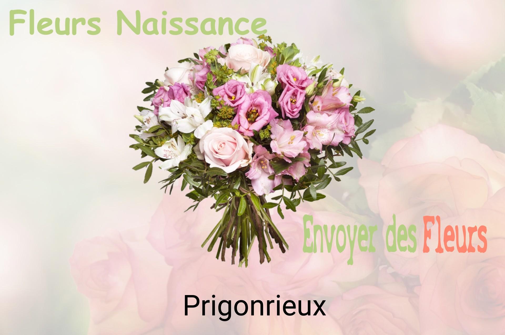 Bouquet de fleurs de naissance livré à Prigonrieux